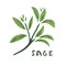 Sage Tile Wall Stencil | 1403 by Designer Stencils | Word & Phrase Stencils | Reusable Art Craft Stencils for Painting on Walls, Canvas, Wood | Reusable Plastic Paint Stencil for Home Makeover | Easy to Use & Clean Art Stencil